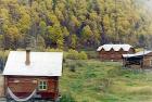 Shumikha Camp